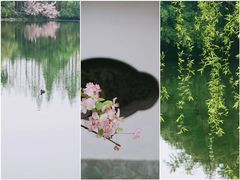 -棠湖公园