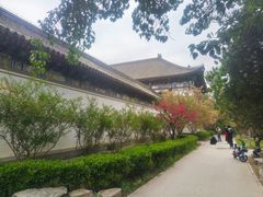 -北京大学赛克勒考古与艺术博物馆