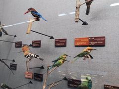 -昆明动物博物馆