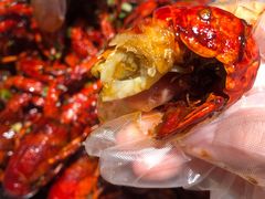 -松哥油焖大虾(科技园店)