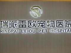 -瑞派雷欧宠物医院·中兽医·眼科·急重症转诊中心(黄台店)