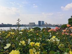 -立新湖公园