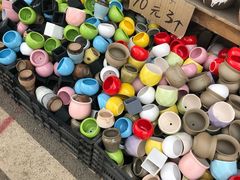 -三圣花乡旅游区