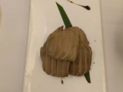 -东兴楼(通州店)