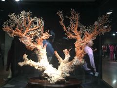 -台北故宫博物院