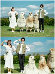 点击看大图 -太古映画婚纱摄影(天河店)