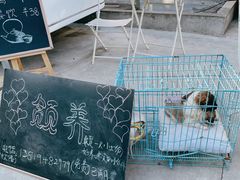 -龙坞茶村