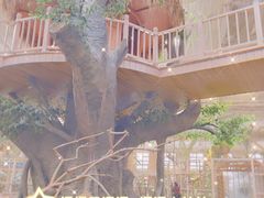 -南宫五洲植物乐园