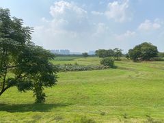 -盘龙城国家考古遗址公园