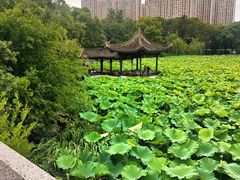 -高子水居