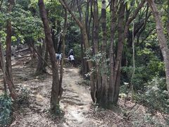 -梧桐山风景名胜区