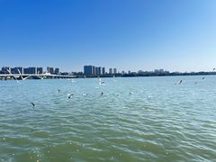 -蠡湖大桥公园