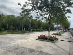 -伊犁河景区