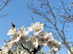 -西北湖绿化广场