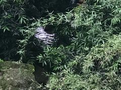-四洞沟景区