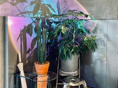 -Sarah西点·烘焙·餐厅(翰林府旗舰店)