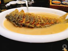 红烧黄河大鲤鱼-阿庄新豫菜(通泰路店)