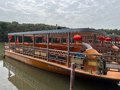 -大湾区中央湿地公园