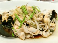 -开海·红岛海鲜虾水饺(石老人店)