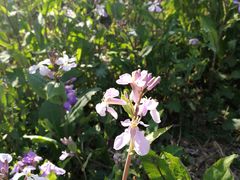 景点-南海子公园