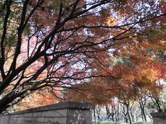 -徐家汇源景区-衡山公园