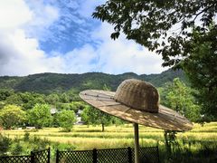 -塔川景区