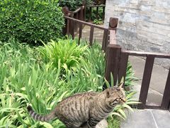 -万松老人塔