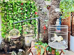 -丽江庭院·云南野生菌·海鲜火锅(鼓楼四合院店)