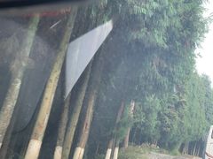 -山王坪喀斯特国家生态公园