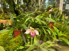 -国家植物园南园