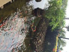 iphone_upload_pic-三亚亚龙湾金棕榈度假酒店