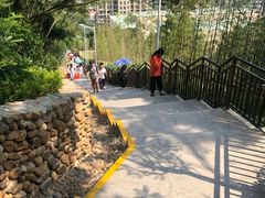 -仙岳公园