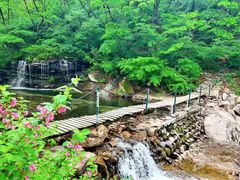 -龙湾潭国家森林公园