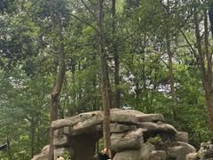 -中国大熊猫保护研究中心雅安碧峰峡基地