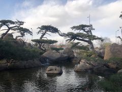 -罗红摄影艺术馆