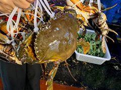 -友强·23年特色海鲜大排档(厦门店)