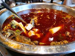 鱼火锅-肖肖酸萝卜鱼火锅(总店)