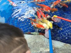 -鸿通城购物中心