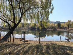 -杭州师范大学(下沙校区)