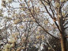 -泉城广场