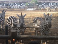 -大连森林动物园