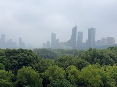 -天鹅湖体育公园