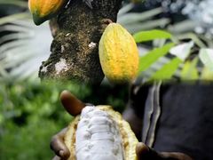 -国贸中心·国贸大厦三期