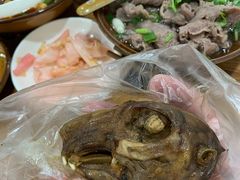 -邓氏兔头