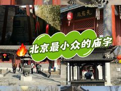 -护国天仙圣母庙