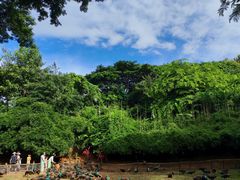 -西双版纳勐泐文化旅游区