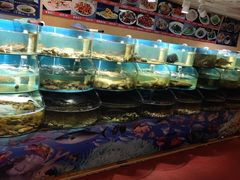-蓝色海岸海景餐厅(仙螺岛店)