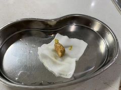 -谐和贝康宠物医院24小时·宠保定点(急重症转诊中心)