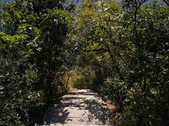 -梧桐山风景名胜区