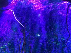 -沈阳海洋探索中心